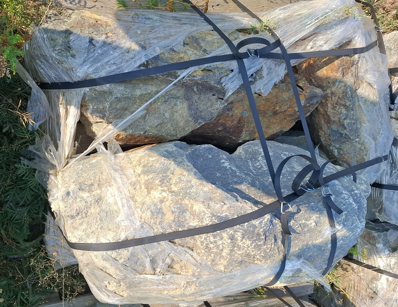 "Szpice szarogłazowe" - cena za paletę o wadze 500 kg - obrazek 8