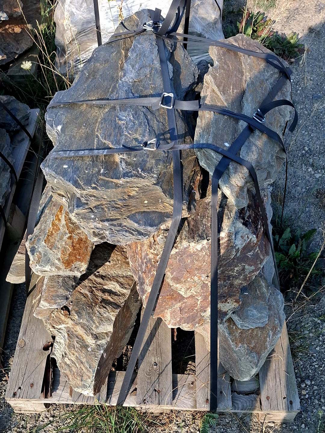 "Szpice szarogłazowe" - cena za paletę o wadze 500 kg - obrazek 5